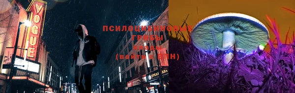 альфа пвп Арсеньев