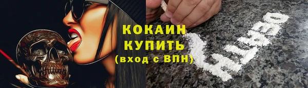 трава Аркадак